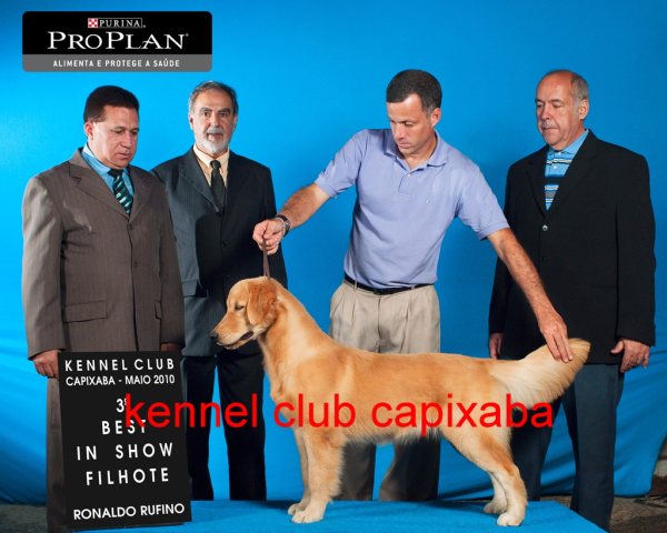 Clique sobre a foto para fechar